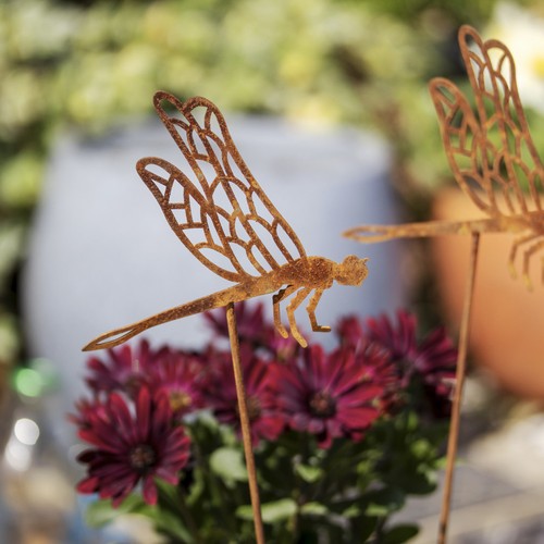 Set rusty dragonfly - of,