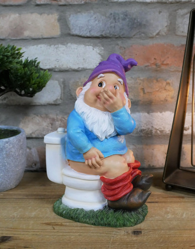 Funny gnome toilet - gnome, on