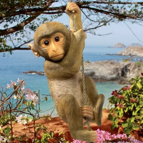 Climbing monkey tree rope - climbing,