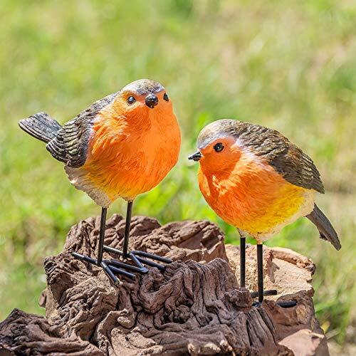 Set robins garden outdoor - 2,
