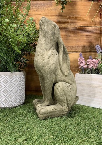 Stone garden moon gazing - garden,