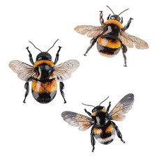 Set of 3 Metal Bumble Bee