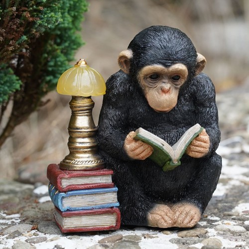 Reading monkey solar - solar, light