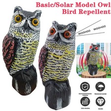 Outdoor Basic/Solar Model