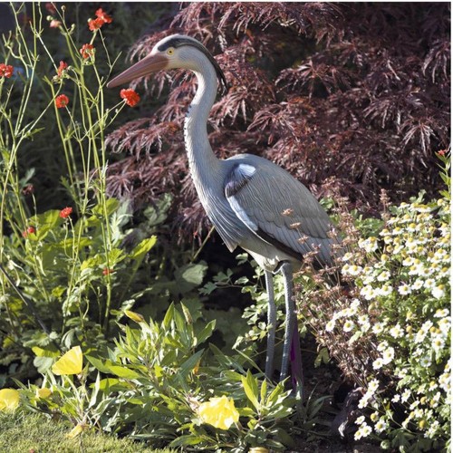 Decoy heron deterrent - heron, pond